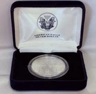 2013 U.S American Eagle Silver Dollar Uncirculated