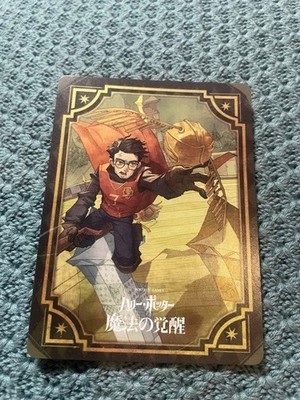 Harry Potter Magical Awakening Card