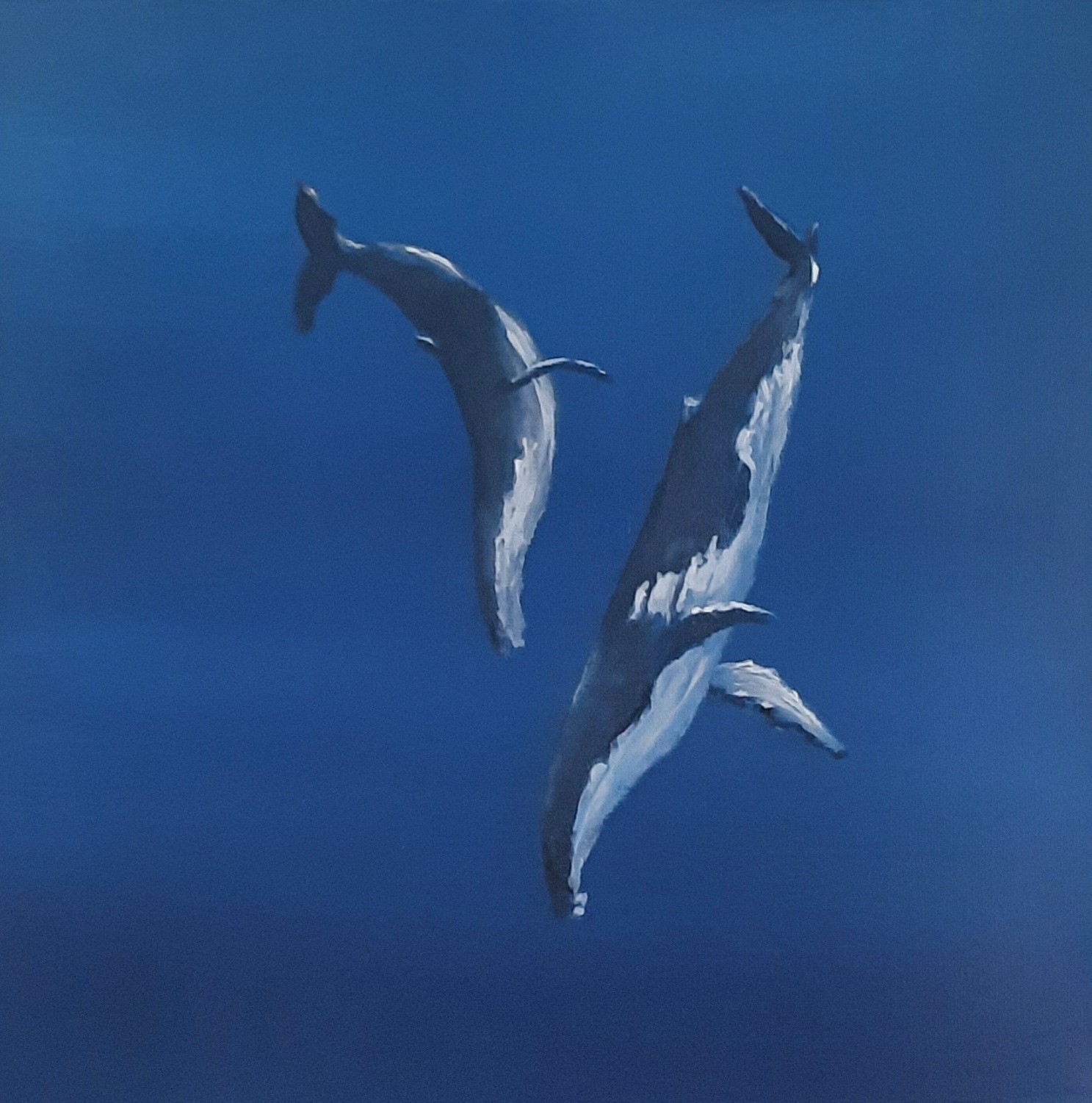 Cuadro original ballenas mar lienzo cuadro olas modernas bajo el agua único tiburón