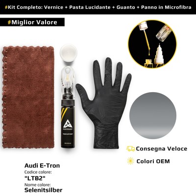 Touch Up Paint for Audi E-Tron Kit LTB2 Selenite Silver