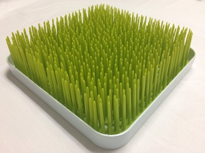 grass dish rack
