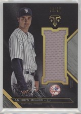 2016 Triple Threads Unity Single Jumbo Relics Silver 6/27 Andrew Miller s7f