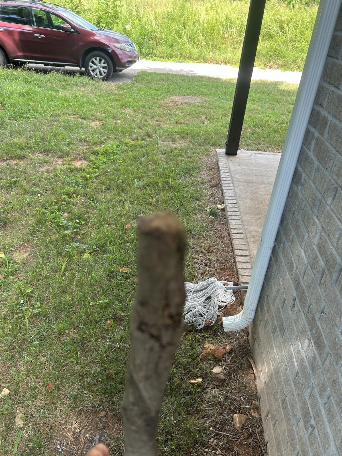 Beautiful Hiking Stick For Hiking Straight From Appalachia Trail In Tennessee