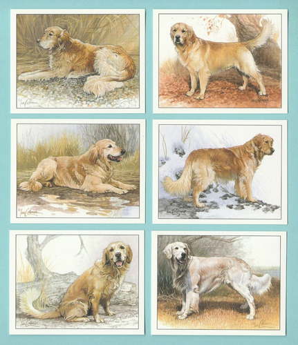 DOGS - GOLDEN RETRIEVERS - SET OF L6 CARDS - IMP. PUBLISHING LTD. - 1999 - Picture 1 of 2