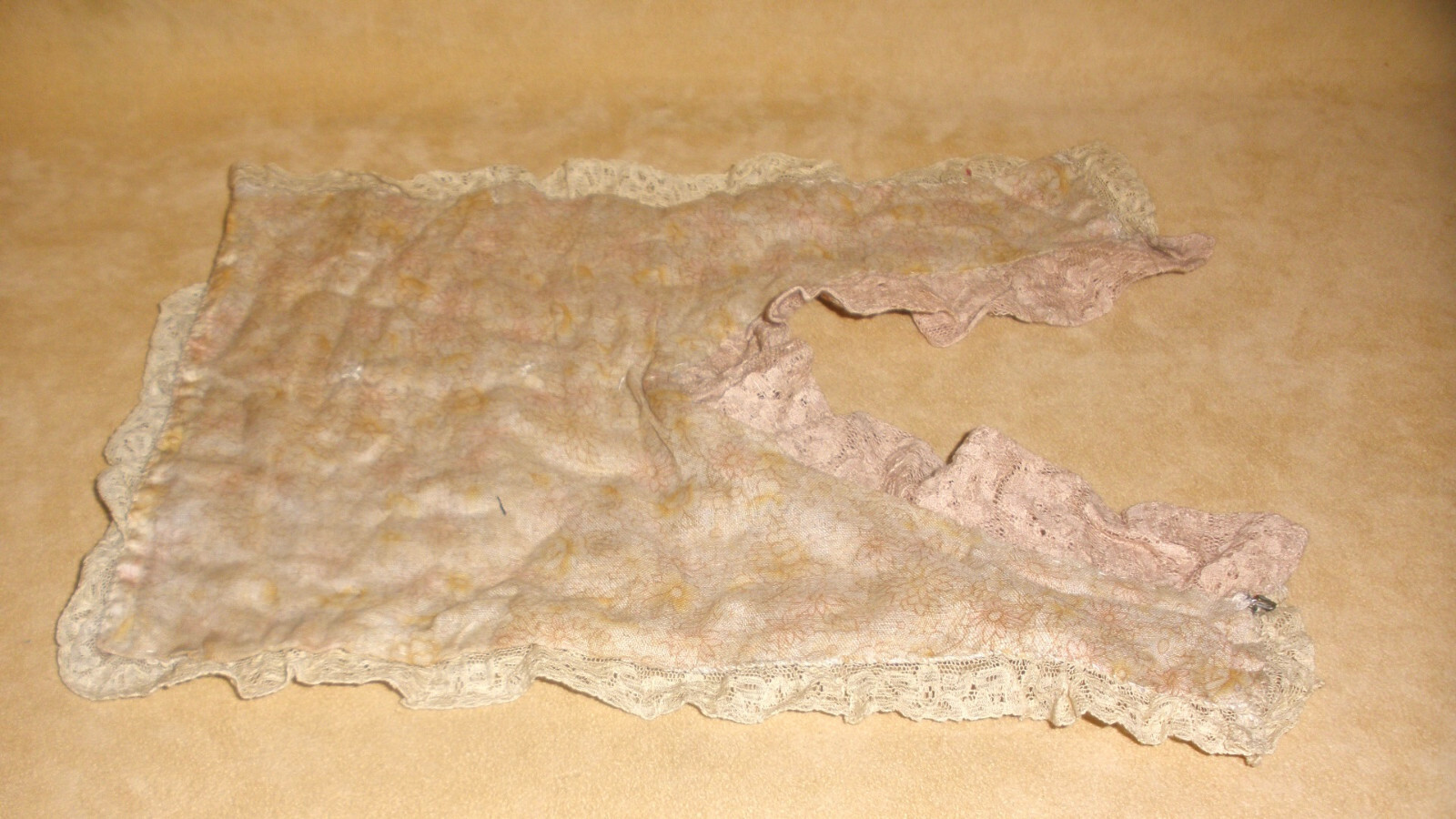 Picture 5 of 5