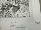 Foto 2 di 6