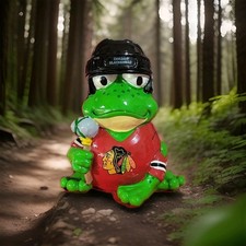 Forever Collectibles Chicago Blackhawks FROG 🐸 Autograph By SCOTT DARLING