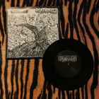 Agathocles / Holidaysuckers ‎– Self Titled EP 7" Vinyl 33 ⅓ RPM, Punk/Hardcore