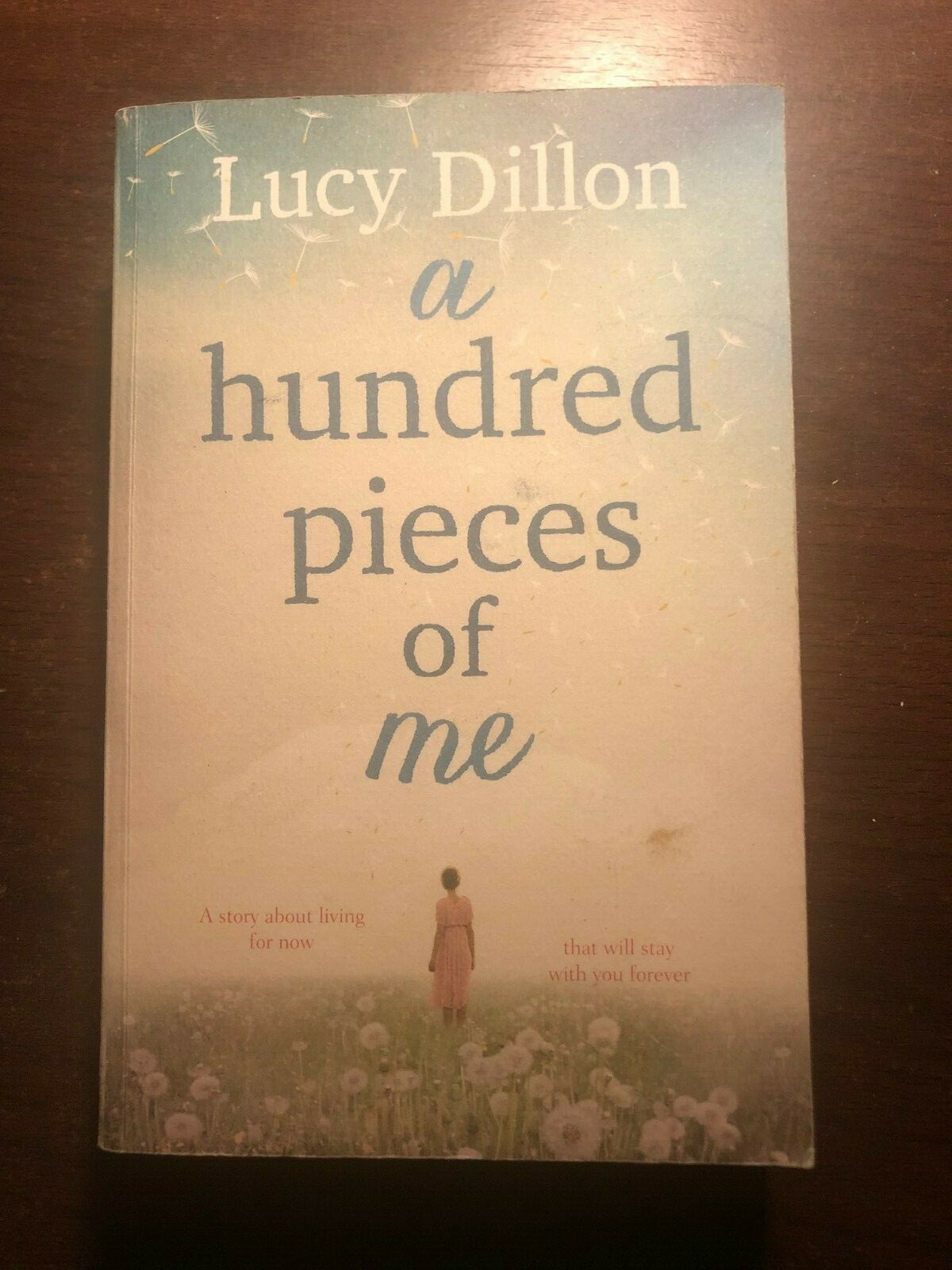 A HUNDRED PIECES OF ME by LUCY DILLON - HODDER - P/B - *PROOF*