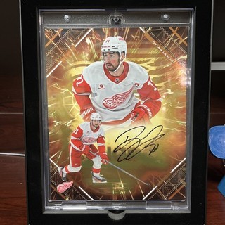 FANATICS EMANATE DYLAN LARKIN SIGNED 8X10 PHOTO ORANGE /25 RED WINGS JD15
