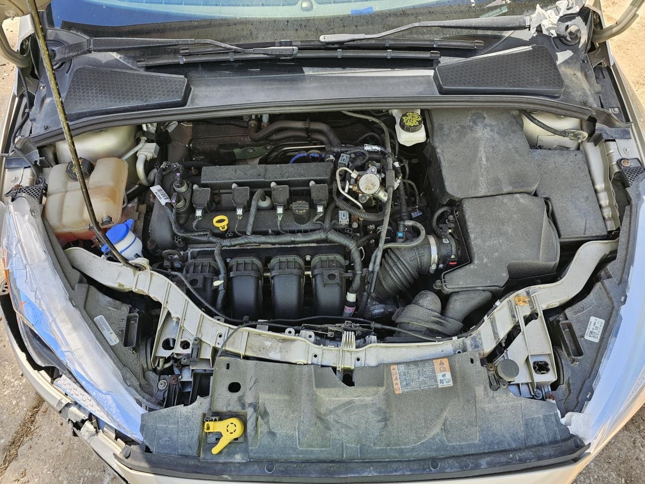 Picture 4