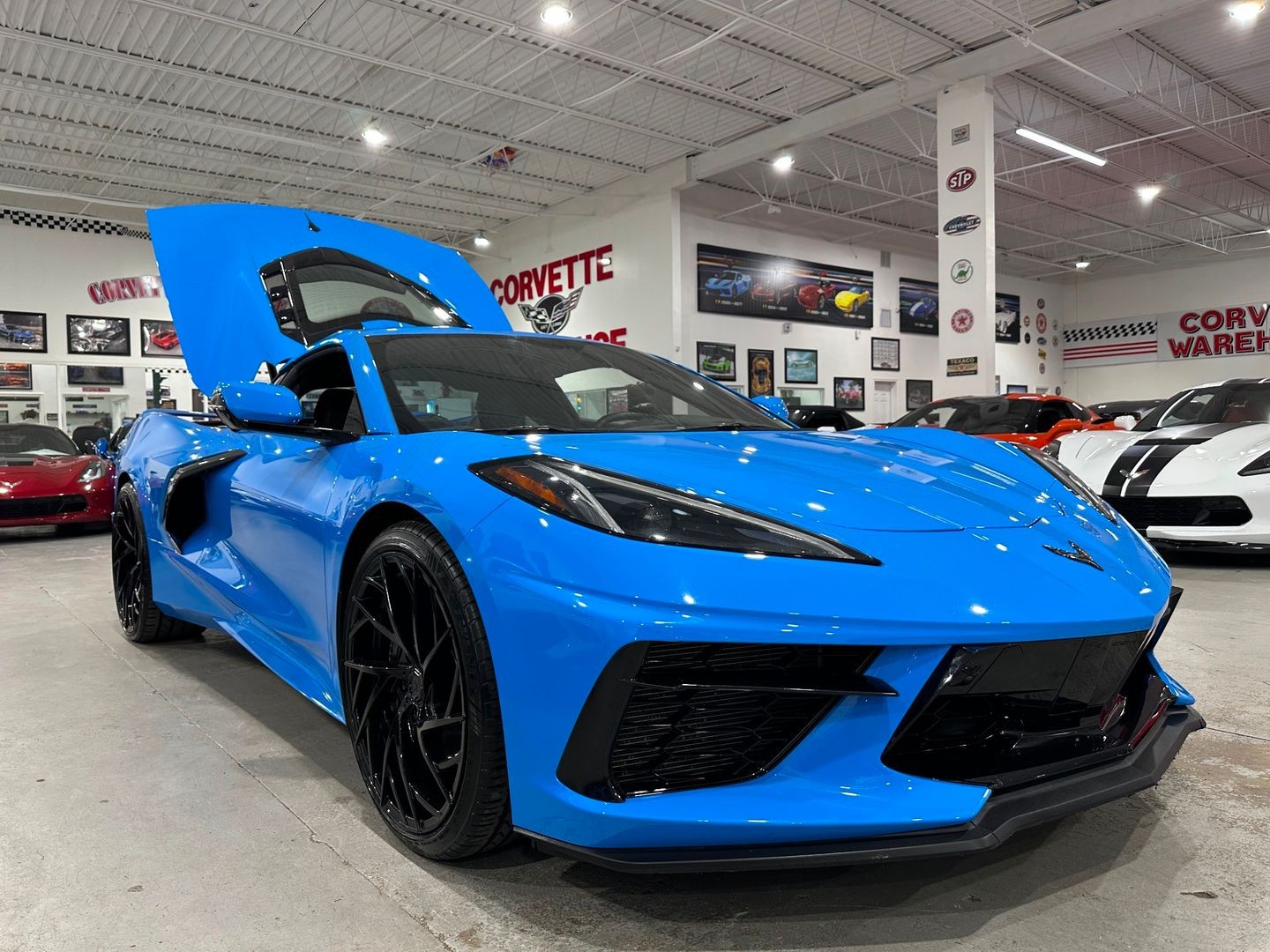 2021 [GMO] Rapid Blue Chevrolet Corvette   | C8 Corvette Photo 6