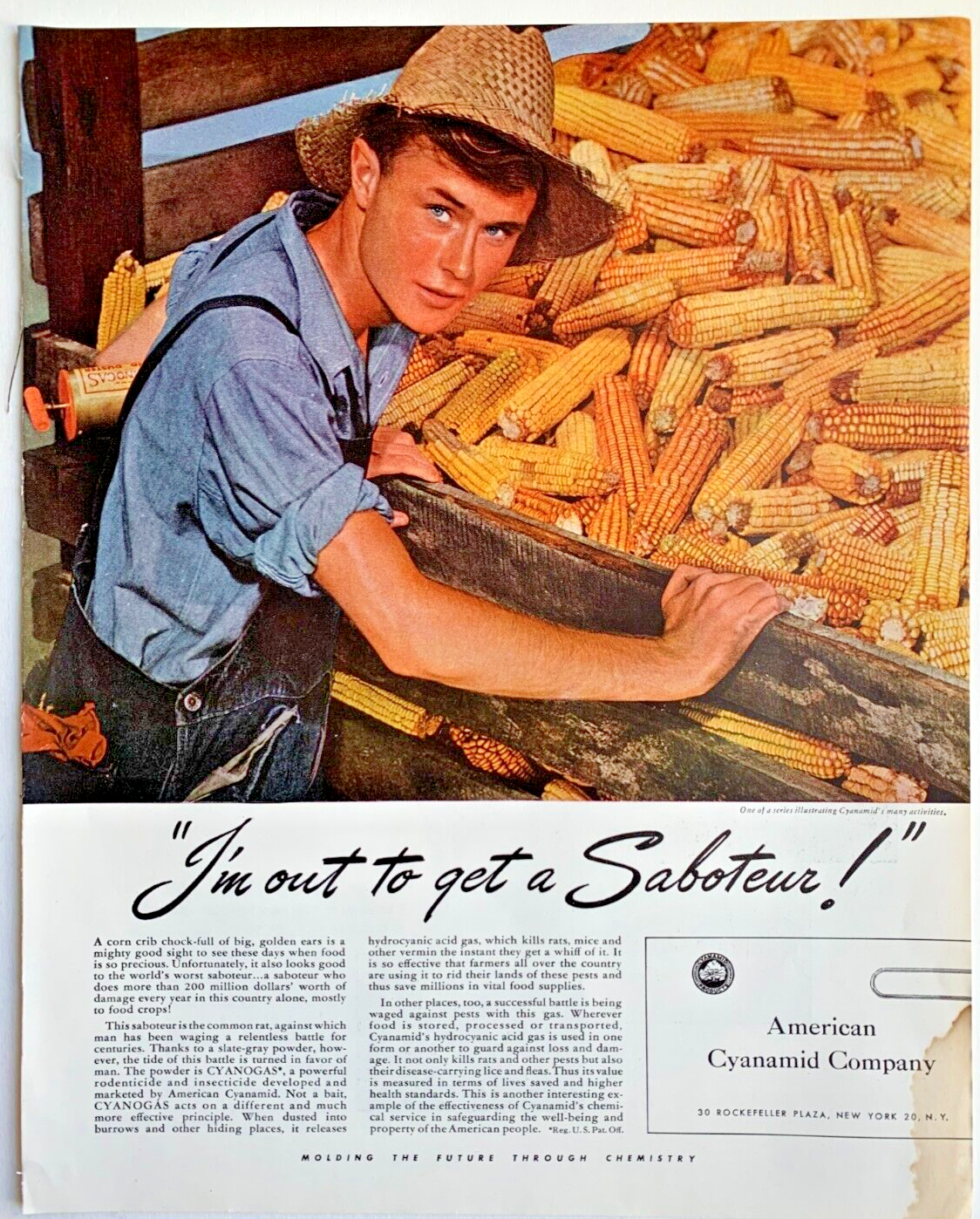 PONY 1943 American Cyanamid Co NYC stampa pubblicità epoca s guerra mondiale fattoria ragazzo cappello di paglia culla mais