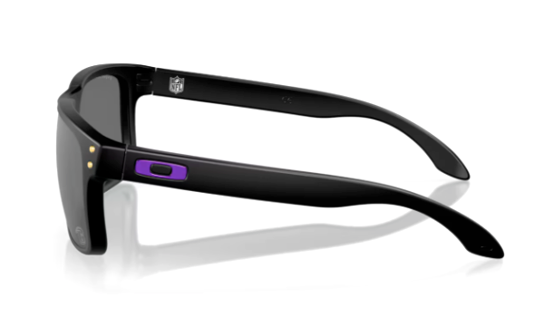 THE RAVENS Ravens Sunglasses（Black） NFL Baltimore Ravens Oakley Holbrook Prizm Polarized Jackson