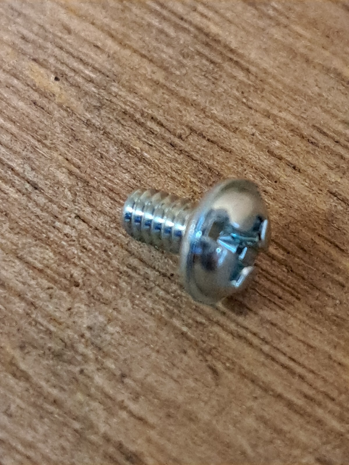 Genuine Pan Head Screw for Wacker BS50-2 BS60-2 fitted with a Walbro Carb