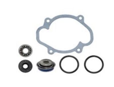 SPI 2022 Summit Edge 850 E-TEC 165'' Ski-Doo WATER PUMP REPAIR KIT S-D SM-1010 NE