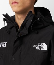 The North Face Gore-Tex Mountain Jacket- Auth...