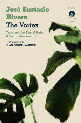 The Vortex by Daniel Hahn Paperback Book