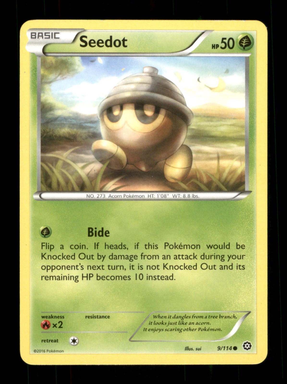 Seedot 9/114 Non-Holo Nintendo  Pokemon Trading Card TCG 