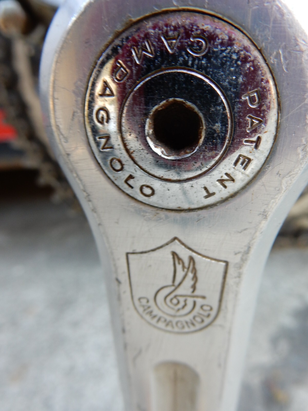 schwinn paramount ebay