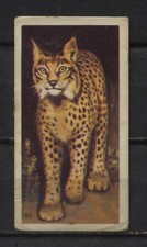 Wildlife Animals Collectable Brooke Bond Tea Cards  - Pick up your Card