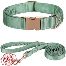 Lionet Paws Silk Dog Collar and Leash Green 16-24