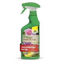 Neudorff Biokraft Vitalkur FüR Rosen 500Ml Anwendungsfertig Rosen StäRken Schutz