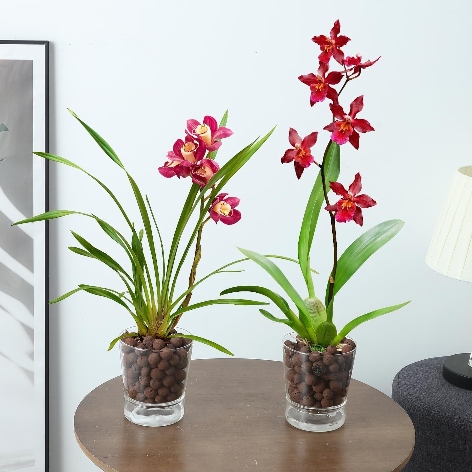 MIBUNG 2-Piece Clear Glass Self-Watering Planter Pots for Indoor Plants