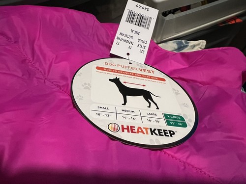 women boxer halloween