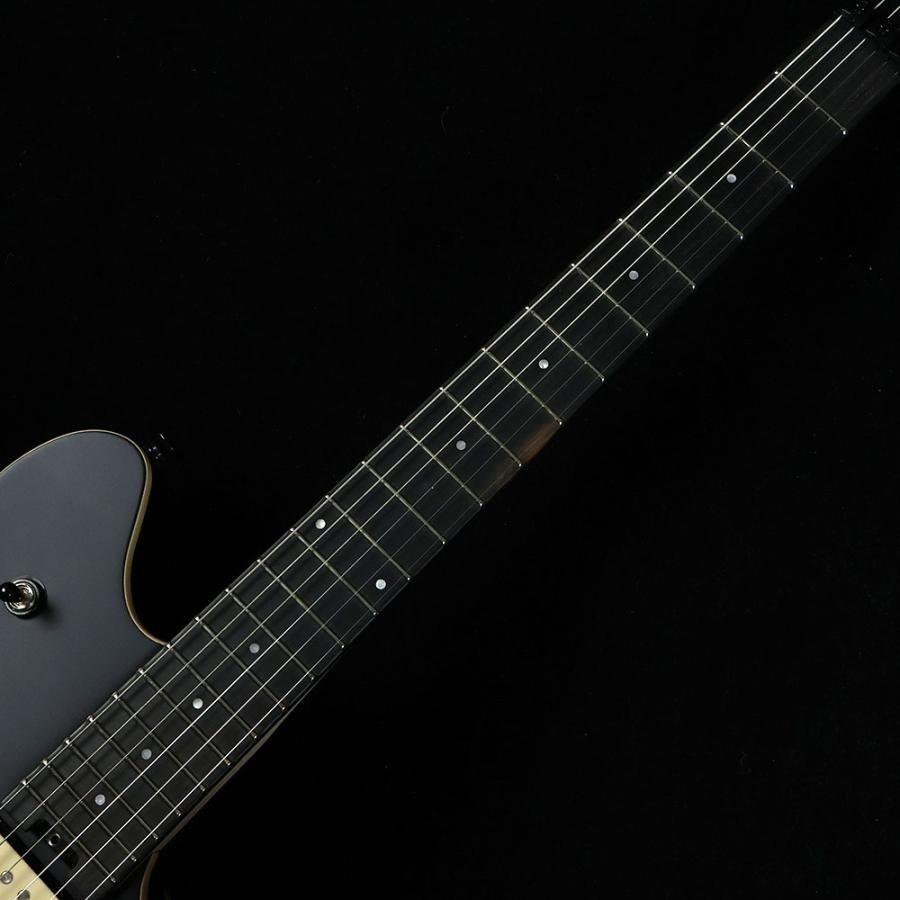 EVH Electric guitar Wolfgang Special Stealth Black 885978529995| eBay