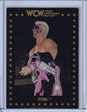 Wrestling Cards 1991 Championship Marketing WCW