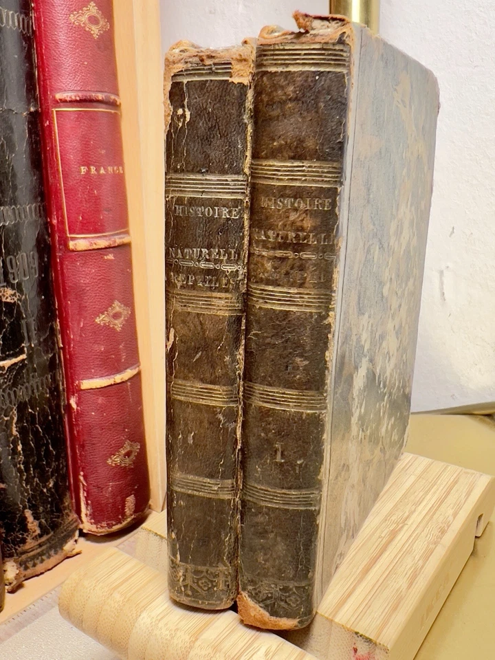 Histoire Naturelle Botanik Biologie Zoologie 1810 Kupferstich Antik Bücher Paris - Bild 1 von 4