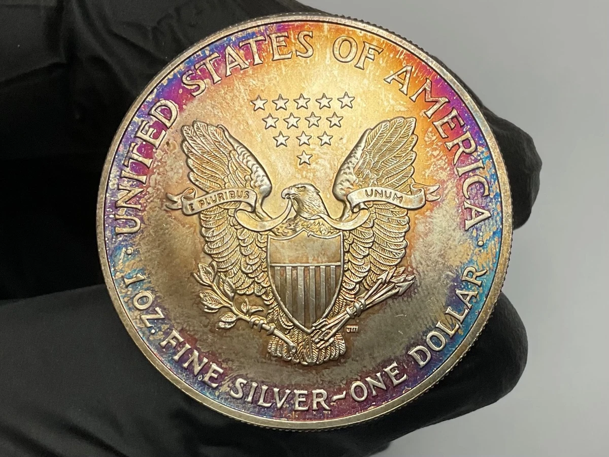 シルバーアメリカンイーグル 2004年 未流通 American Eagle 2004 Silver Bullion Coins for sale | eBay