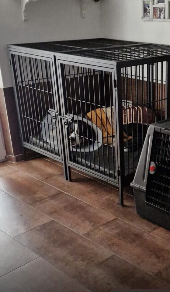 Hundebox, Transportbox, Hundezwinger, XXL, Indoor, Outdoor, Rollen, Bingopaw - Bild 2 von 3