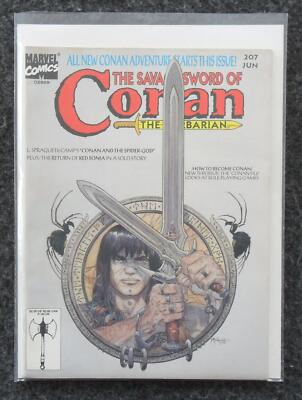 The Savage Sword Of Conan Nr. 207 (Jun. 1993) - Marvel Comics USA - Z. 1-2