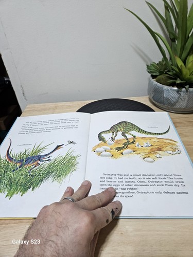 1974 Merrigold Press Dinosaurs Giants Of The Past by Eileen Daly Hardcover Book - 第 13/14 張圖片