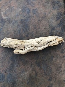 Natural Driftwood for Plants Terrarium Taxidermy Art Projects