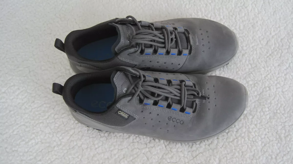 Ecco biom venture gtx 2025 mens grey