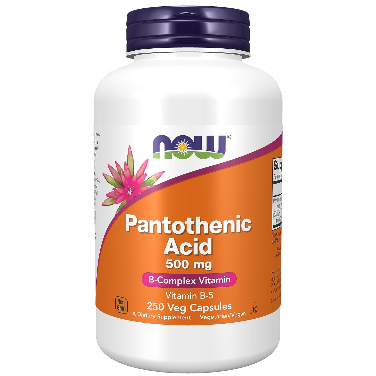 NOW Foods Pantothenic Acid 500mg | Ottimizzazione Metabolica Cellulare