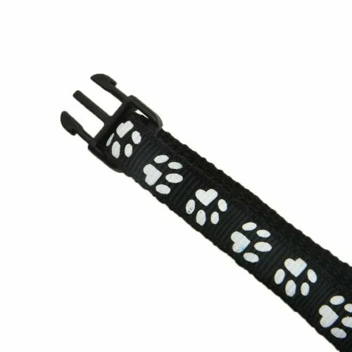 Collari con targhetta per cani