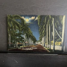 Royal Palm Avenue Moonlight Tropical Florida Series Vintage Linen Postcard UNP