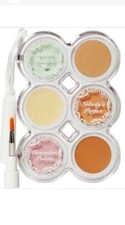 Hard Candy Nobody?s Perfect Concealor Pallet 