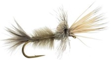 Green Drake Cripple Callibaetis 10 Fly Fishing Flies
