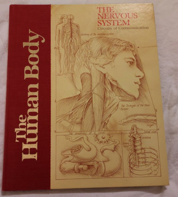 THE Nervous System: Circuits of Communication (THE HUMAN BODY) - Hardcover