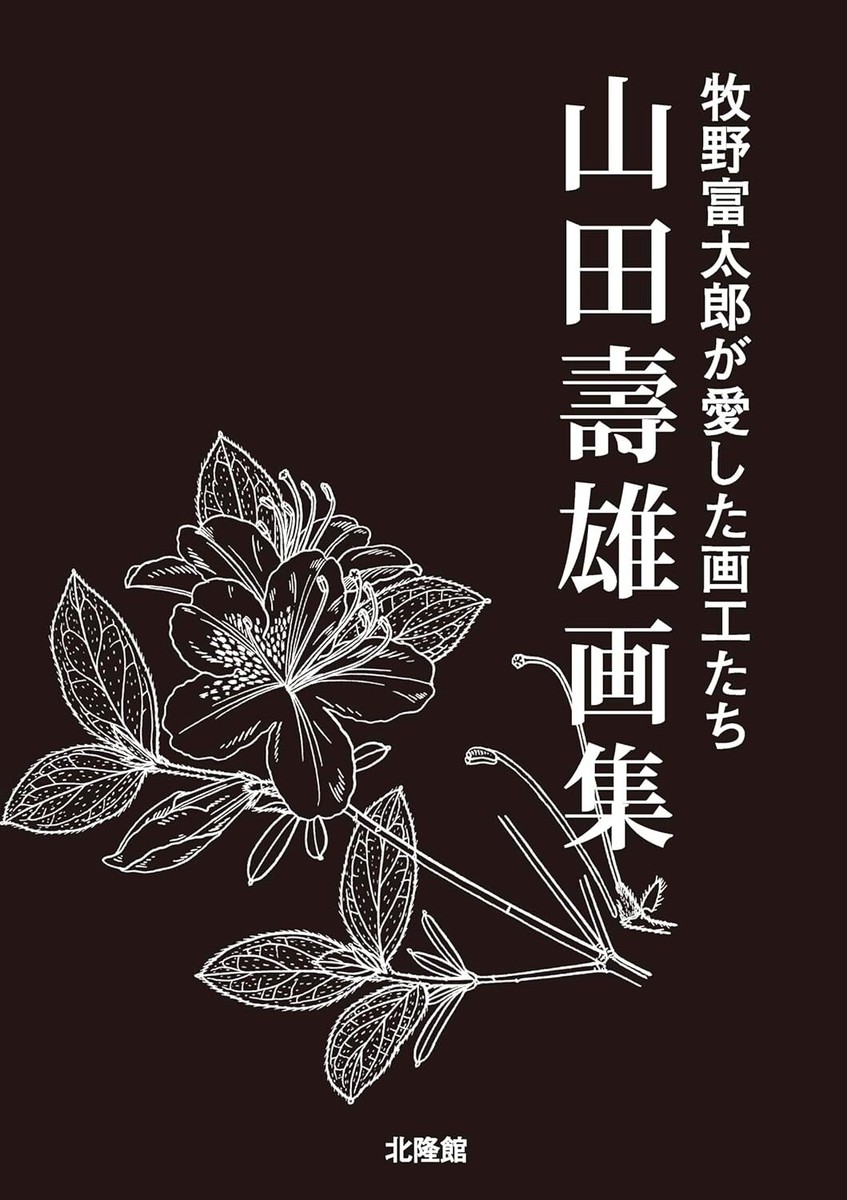 Toshio Yamada Art Collection Book Artists loved by Tomitaro Makino