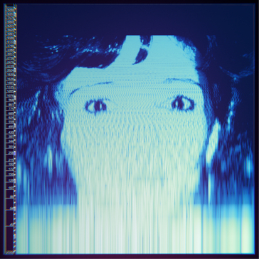 The Avalanches We Will Always Love You (CD) Album (Jewel Case)