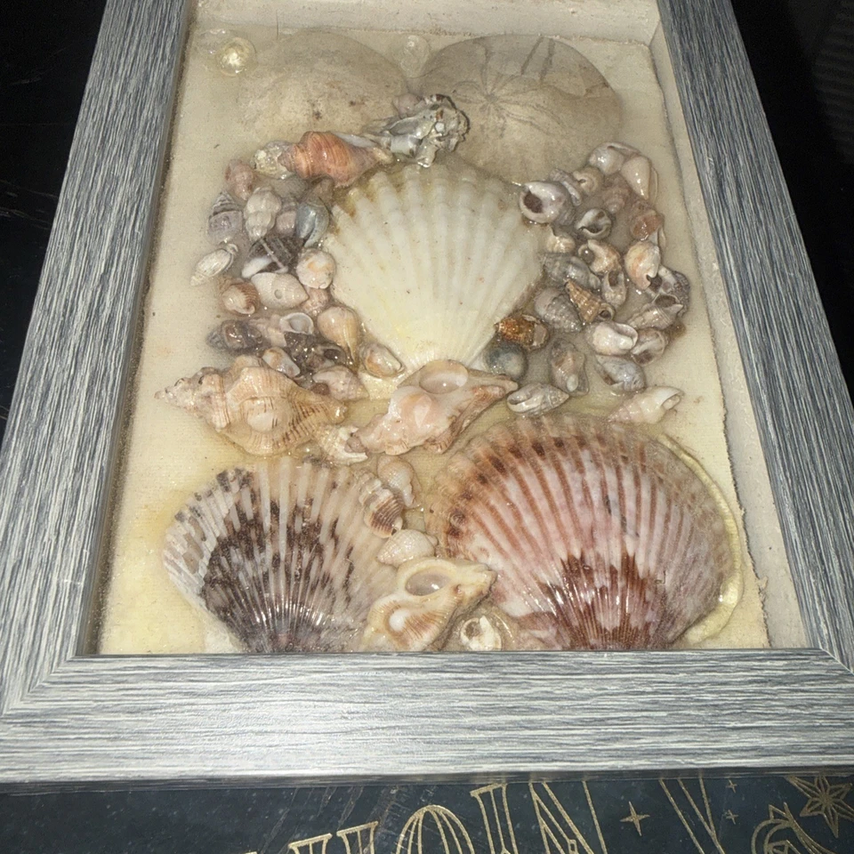Sea Shell Artwork Natural Beauty Beach Decor Wall Hanging Home Decor Wall Art - Image 4 of 4