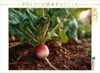 Calvendo Puzzle Radishes Fresh In The Garden Bed | 2000 Pieces, Finished Size 35