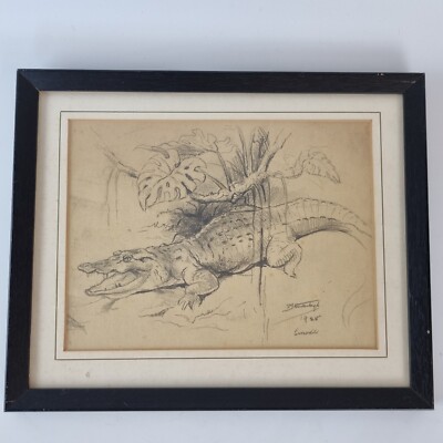 Raymond John Vandenbergh Signed Pencil Study A Crocodile Dated 1925