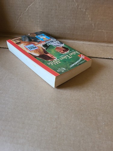 Family Man Ser.: Father Takes a Wife by Ginger Chambers (1995, Mass Market) - Picture 4 of 4